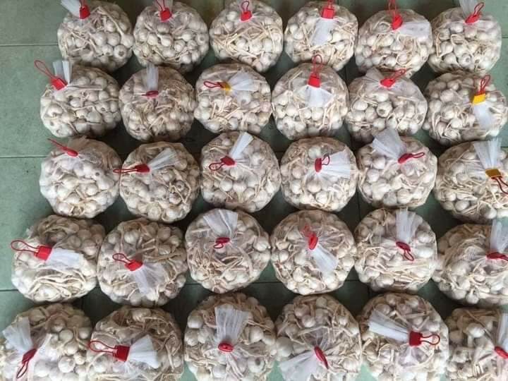 Tỏi lý sơn 1kg
