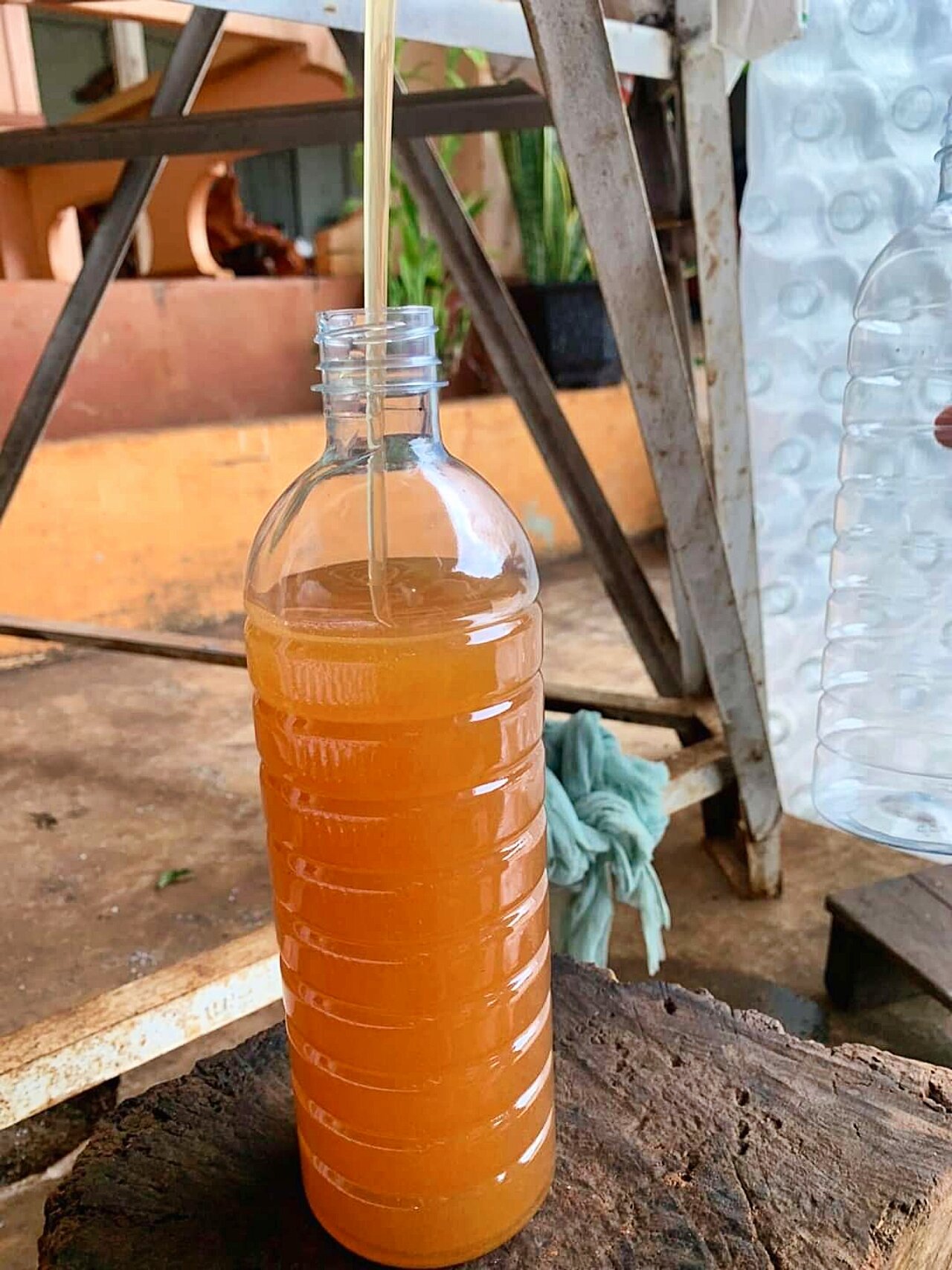[Giá tại vườn] 2 lít Mật Ong Hoa Cà Phê Đắk Lắk