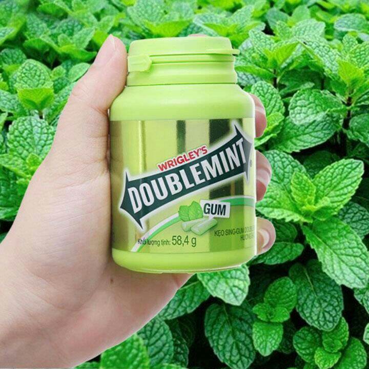 1 hộp kẹo sing gum Doublemint bạc hà