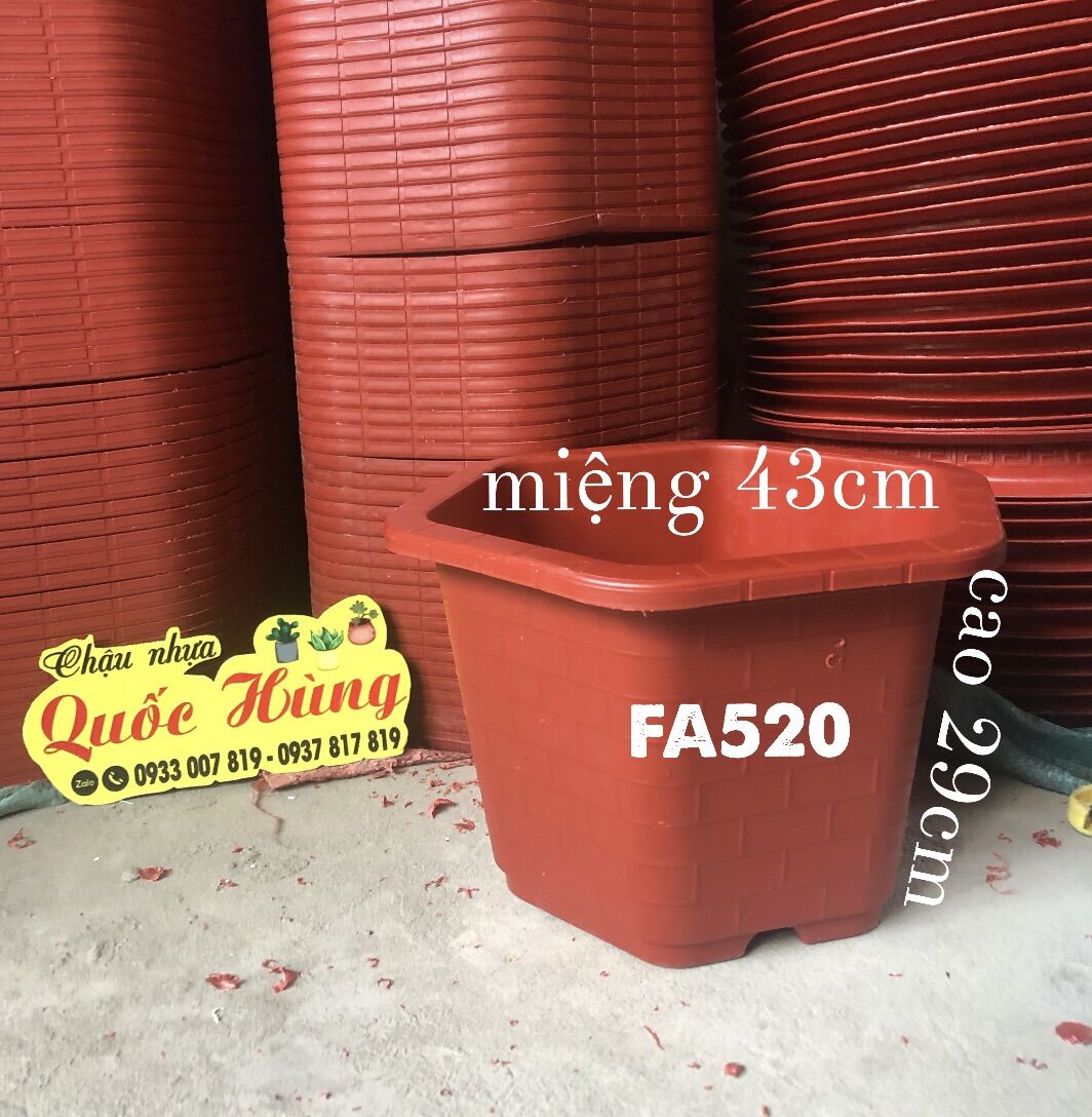 Combo 3 chậu nhựa trồng cây FA520