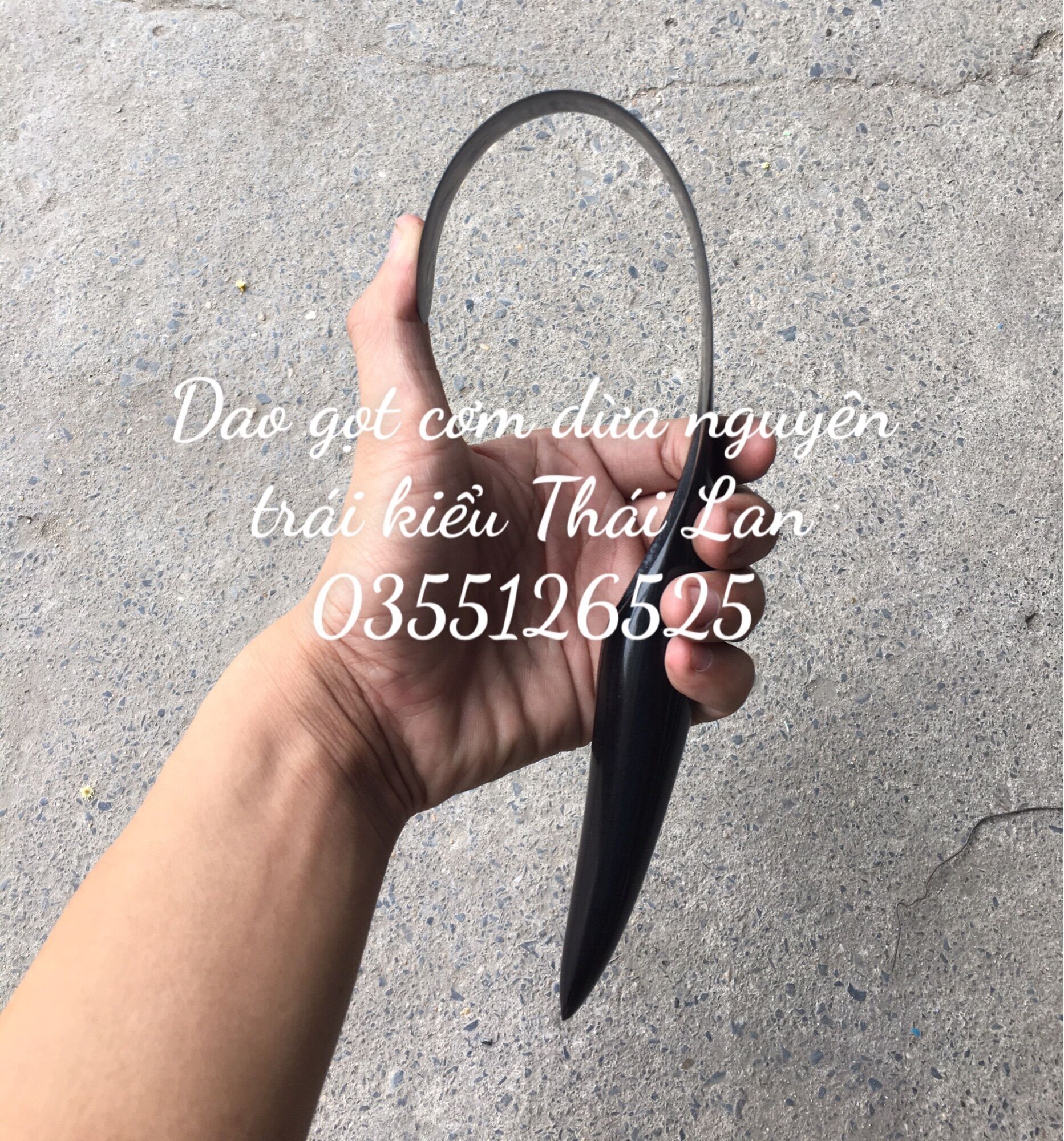 Dụng lấy cơm dừa bằng sừng trâu, dẻo, mềm dễ thao tác, hàng loại 1