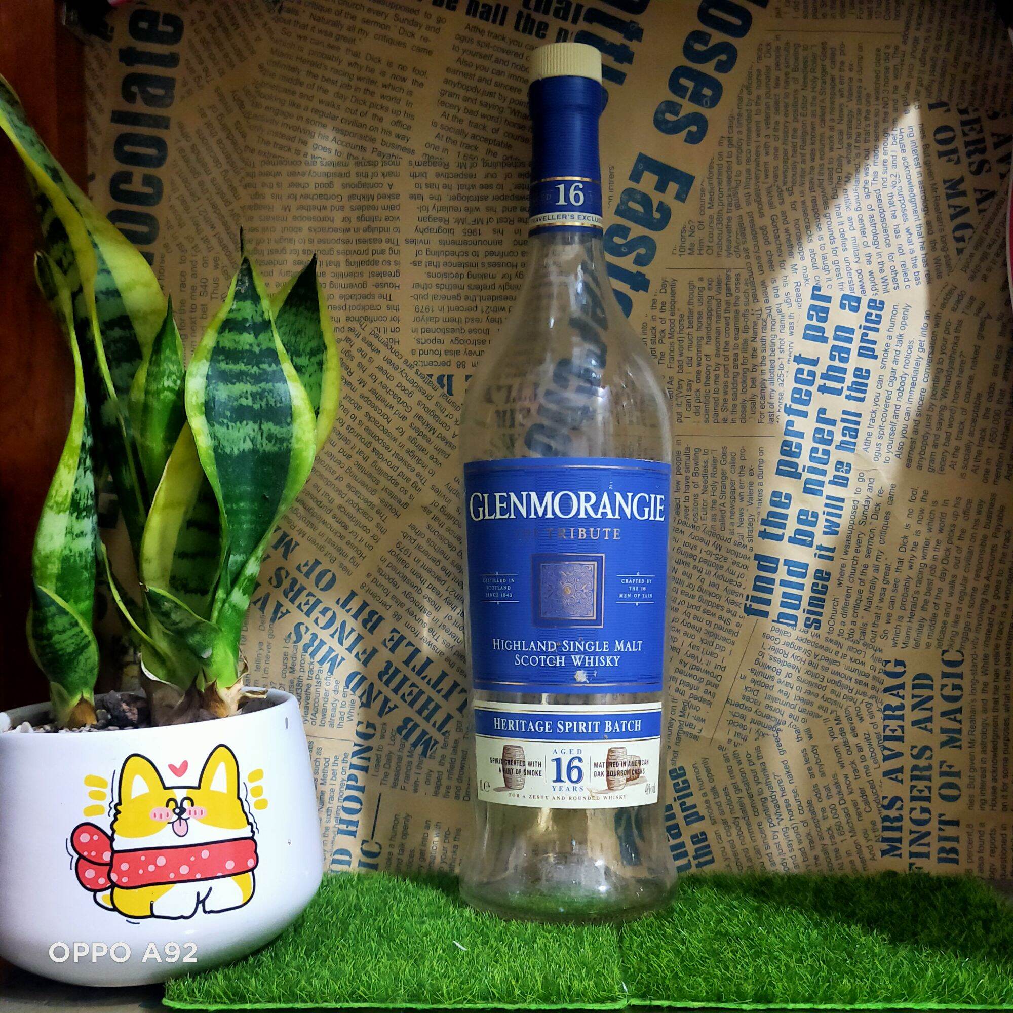 Vỏ chai thủy tinh Glenmorangie dáng cao