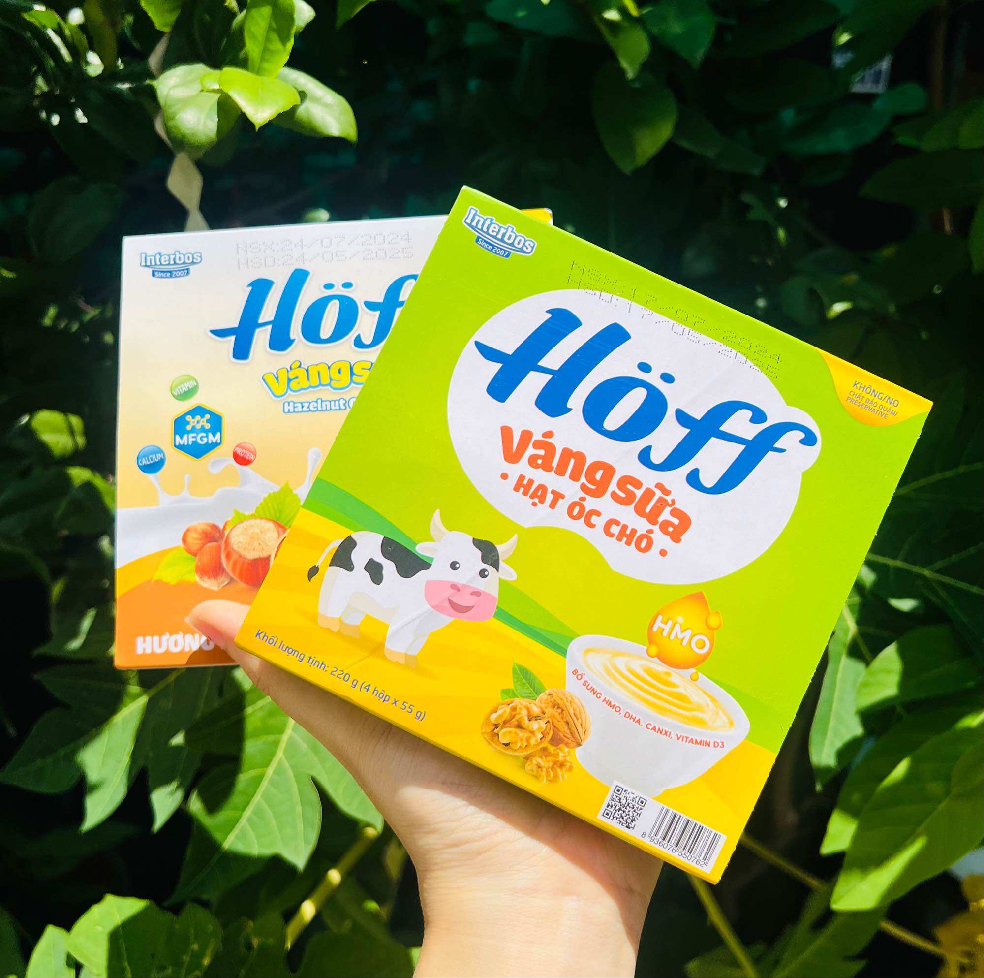 Lốc 4 hộp váng sữa Gotz Hoff đủ vị