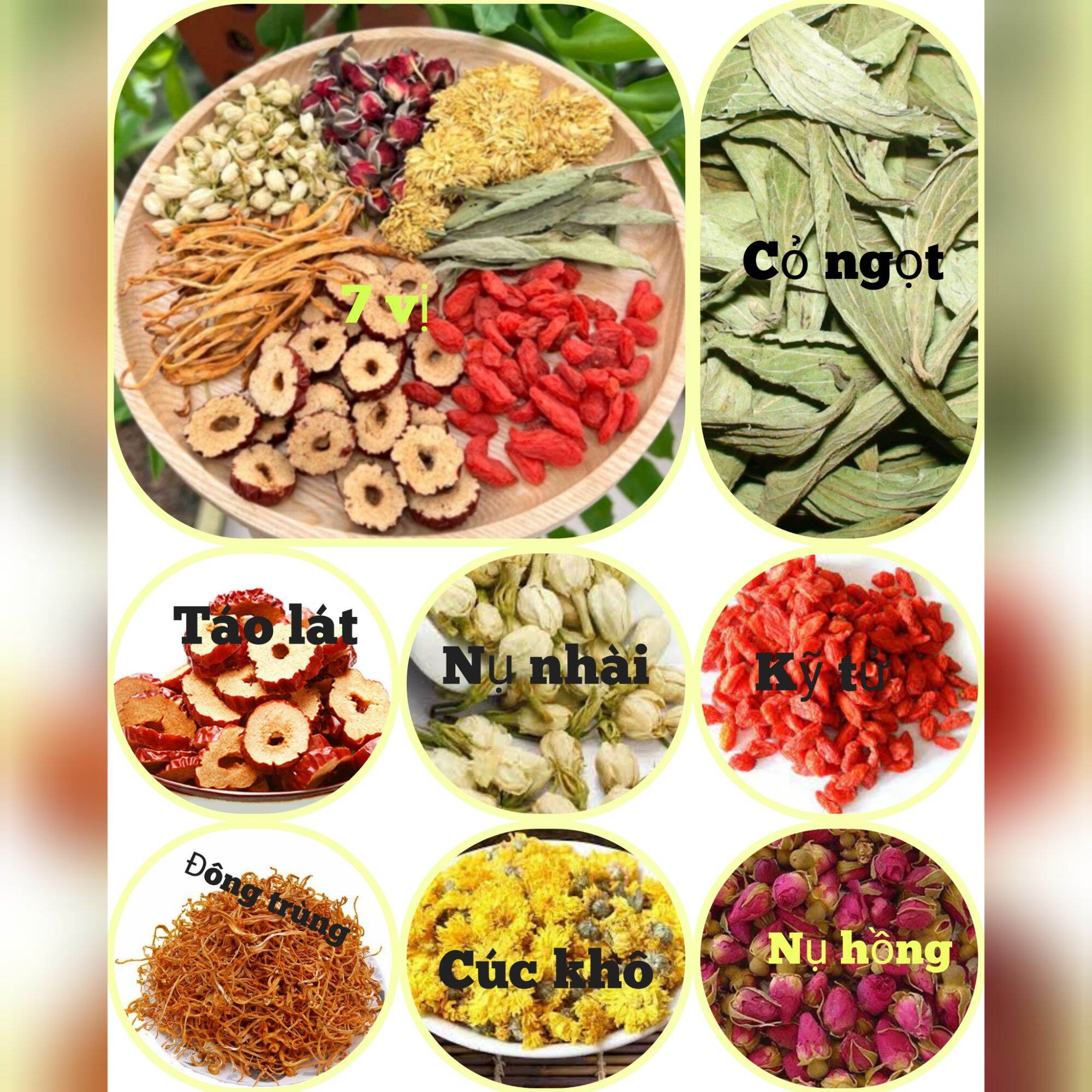 Trà Đông Trùng Hạ Thảo Lục Vị Giúp Ngủ Ngon