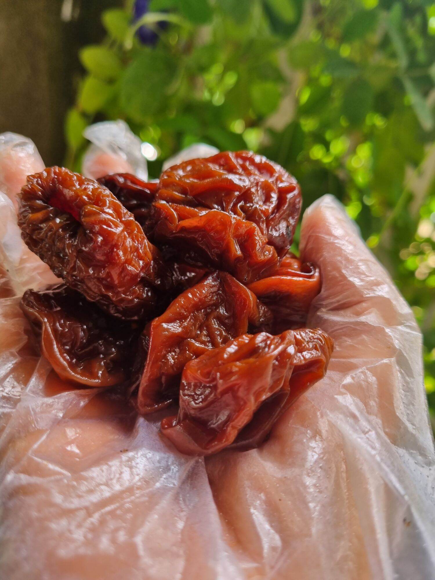 Táo sấy dẻo,đặc sản ninh thuận 70k / 500g