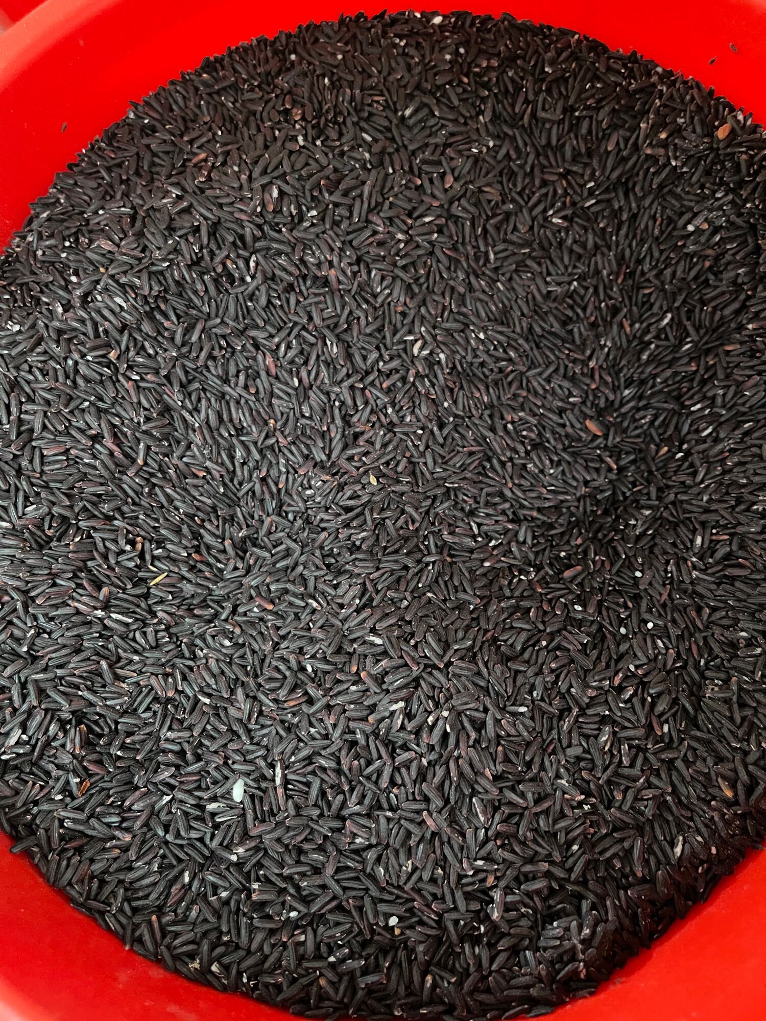 1 kg nếp cẩm