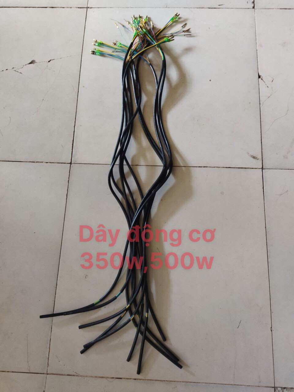 Dây động cơ xe điện 350w,500w, 800w