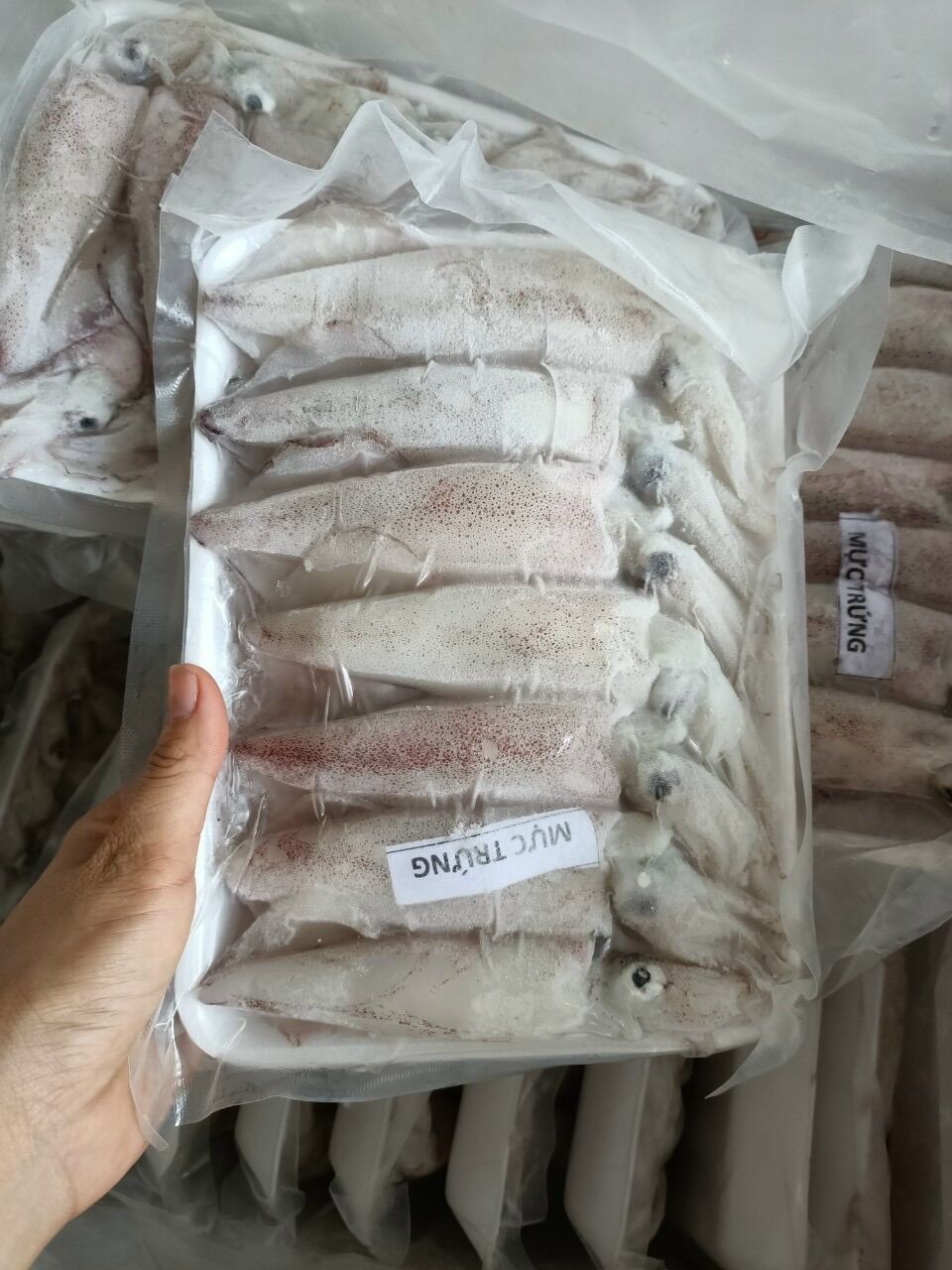 1kg Mực full trứng (net 8, hoả tốc 2h tphcm)