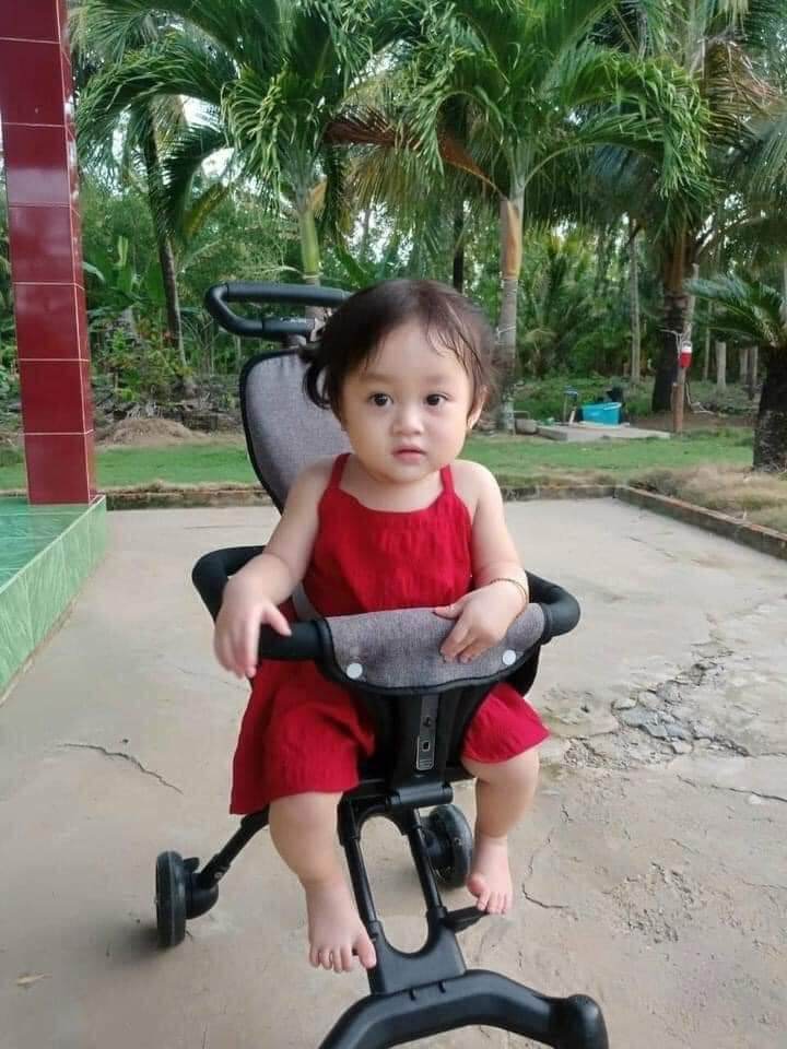 Xe đẩy gấp gọn