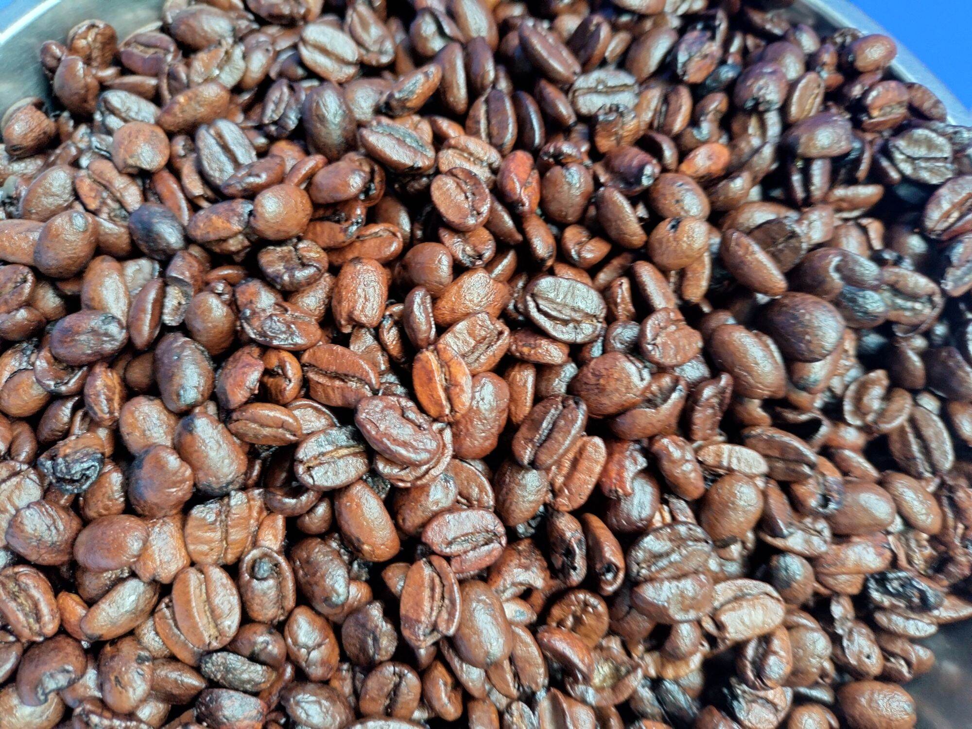 1KG Arabica-cà phê hạt-s14
