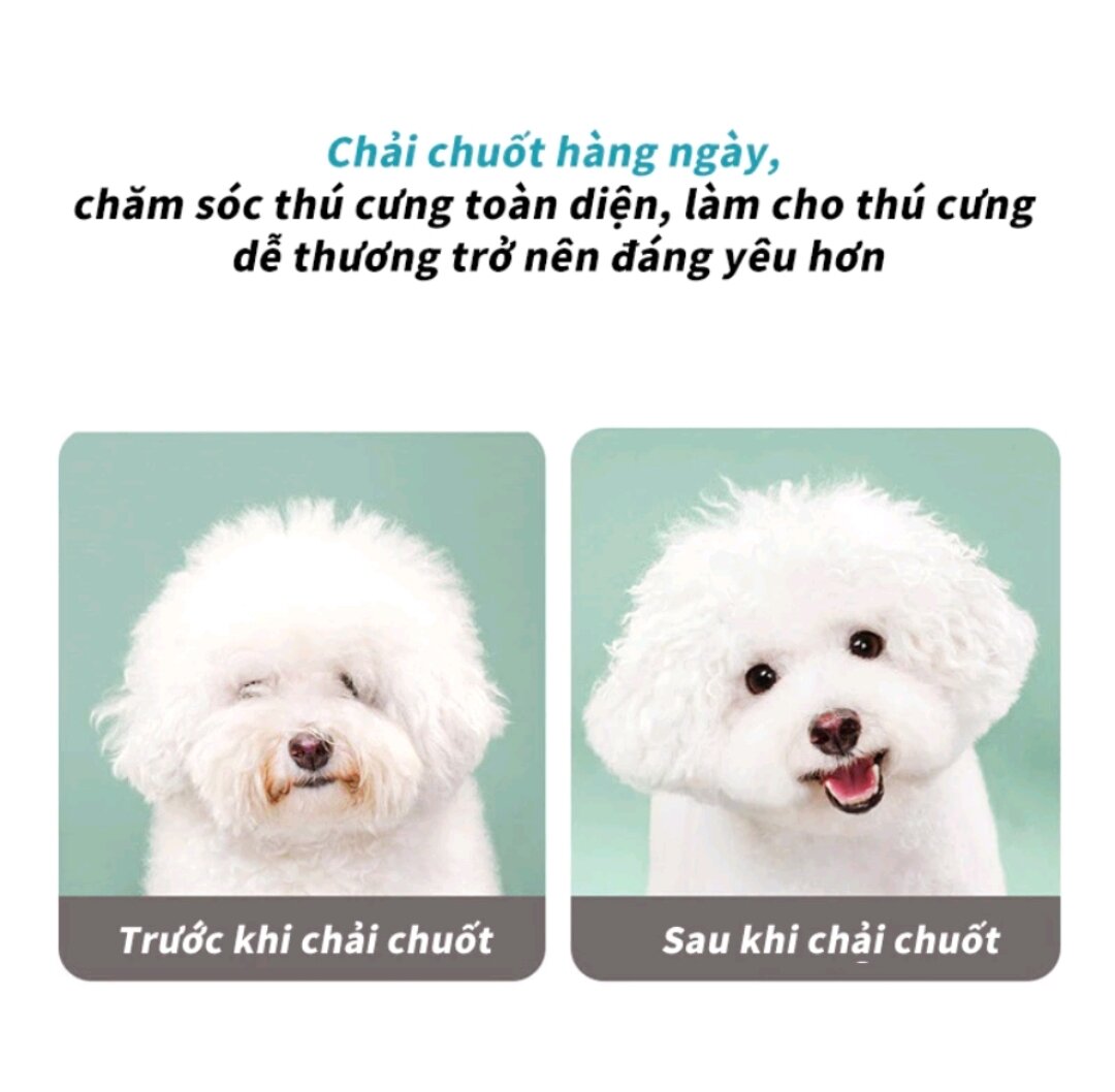 [HCM]LƯỢC CHẢI VE RẬN CHO CHÓ MÈO