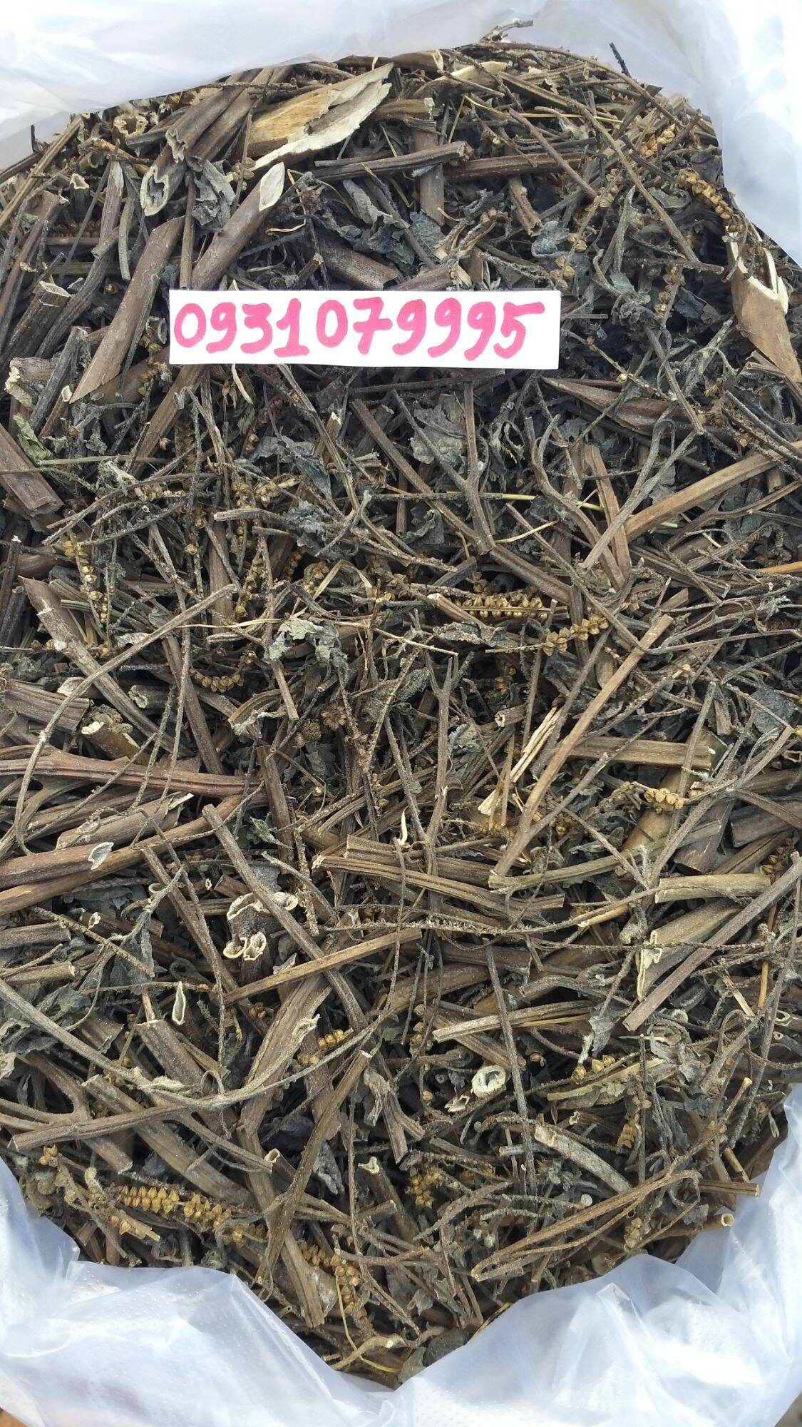 cây vòi voi phơi khô 1kg
