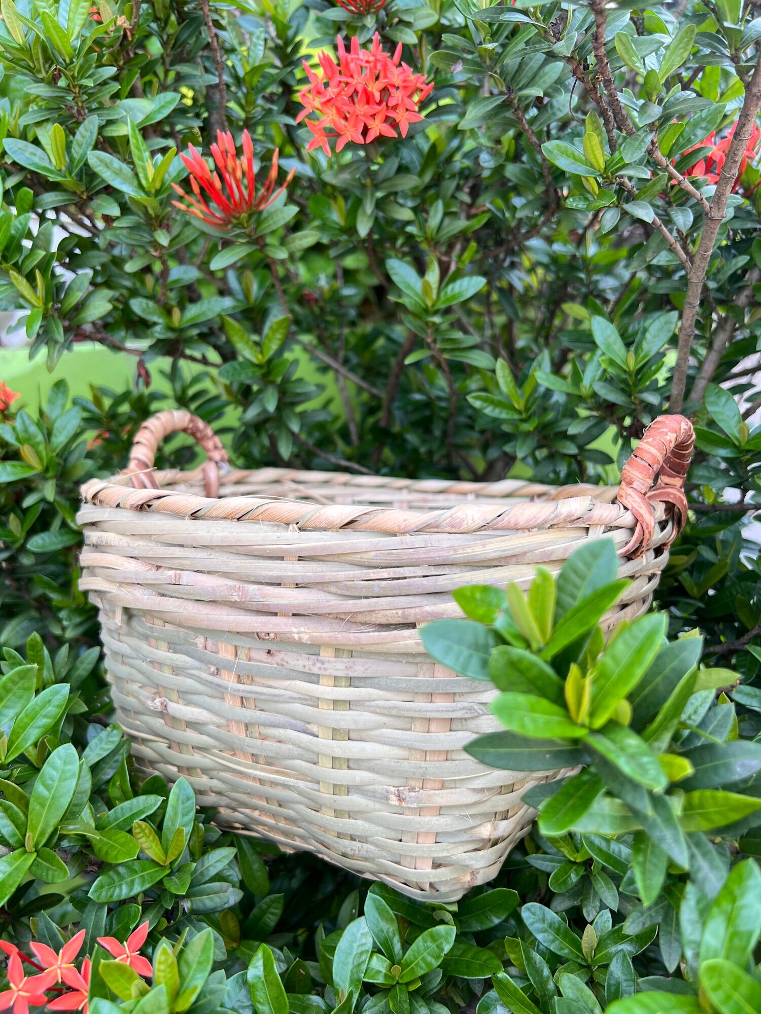Rổ tre vuông cần xé tre quai mây