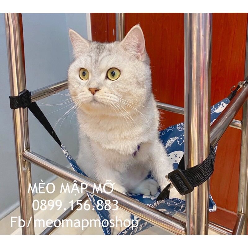 VÕNG TREO CHUỒNG CHO MÈO