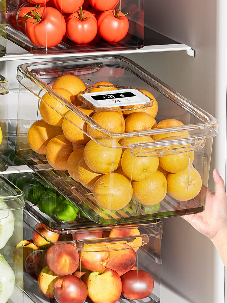 Hộp Đựng Đồ Đông Lạnh Trong Suốt Hộp Đựng Thức Ăn Hộp Đựng Trứng Hộp Đựng Trái Cây Hộp Đựng Thực Phẩm Hộp Đựng Đồ Gia Dụng