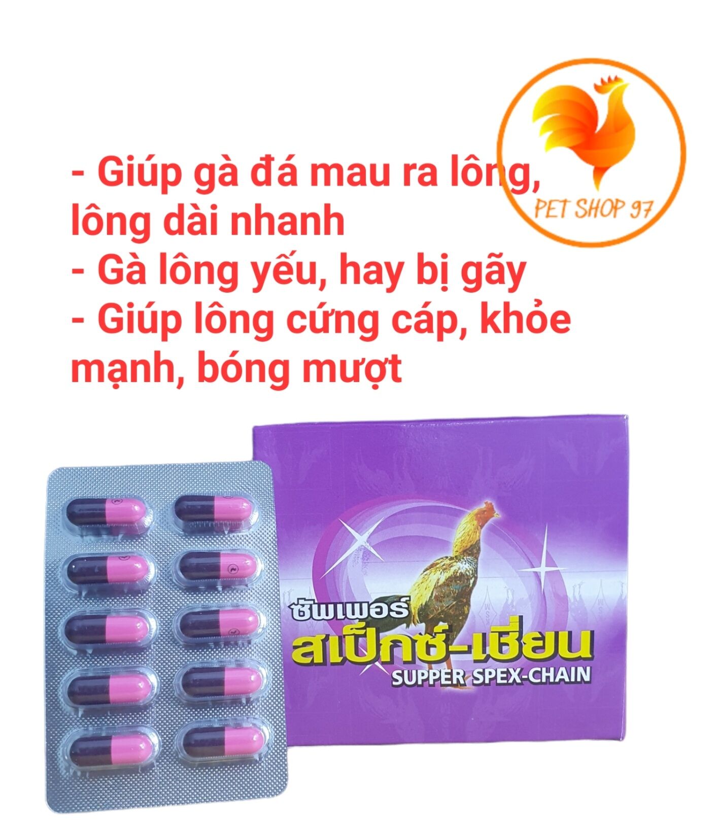 1 vỉ 10 viên kích ra lông cho gà đá thái lan