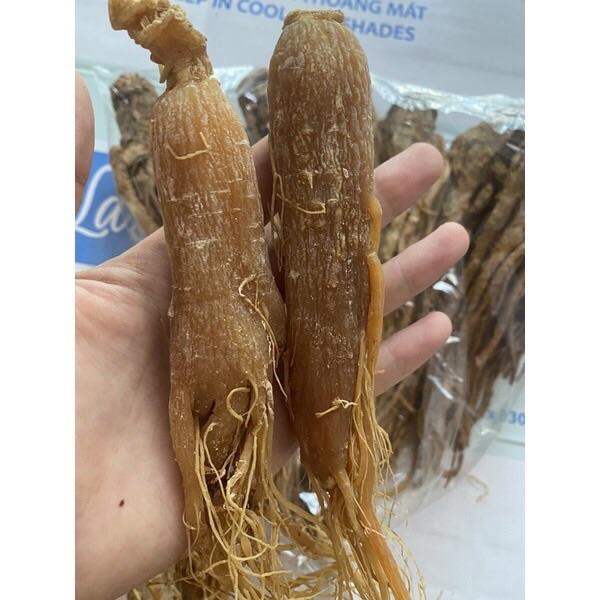 Nhân sâm hồng sâm Hàn Quốc