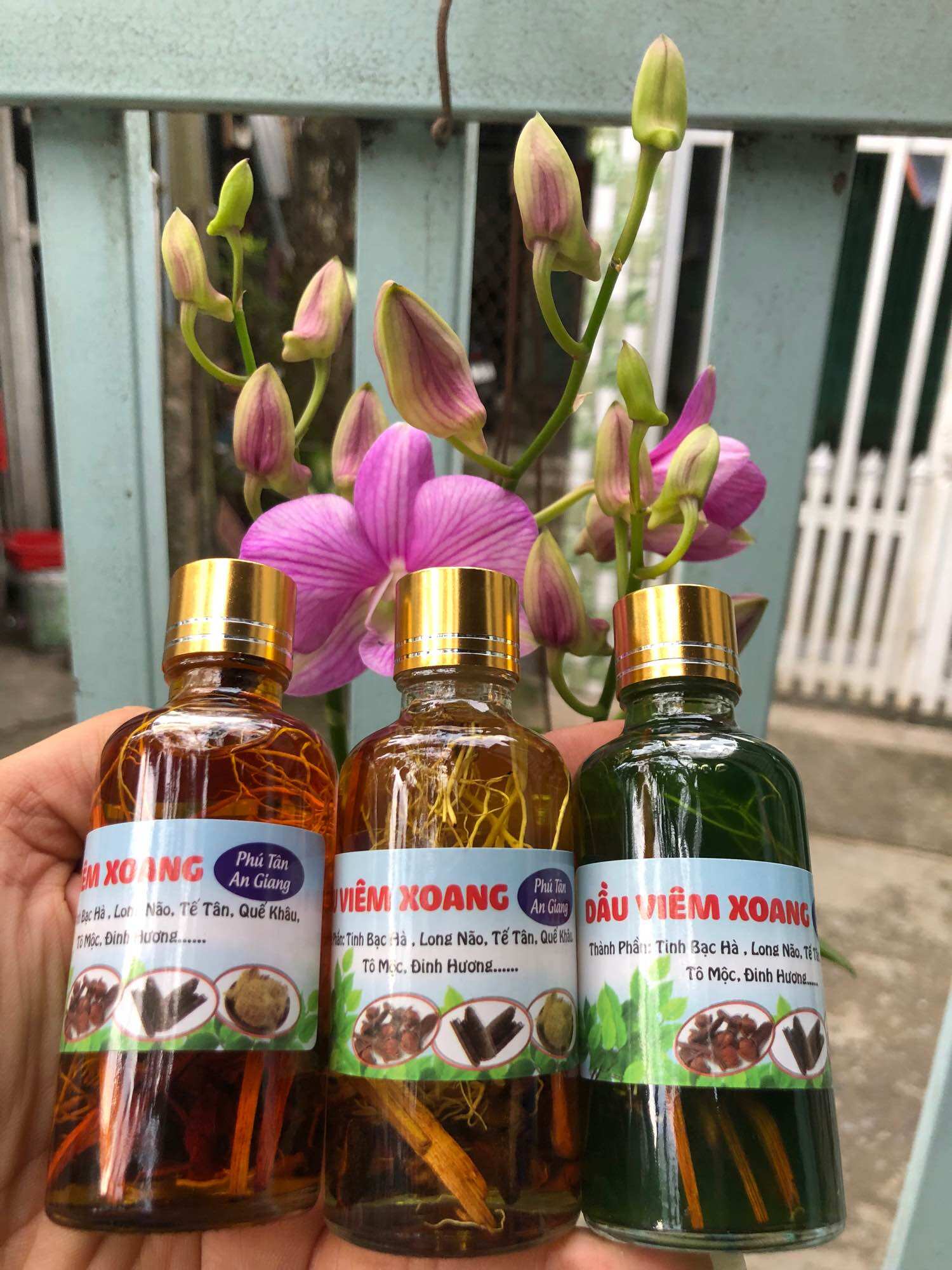 DẦU VIÊM XOANG XANH 50ML (RỄ THUỐC )