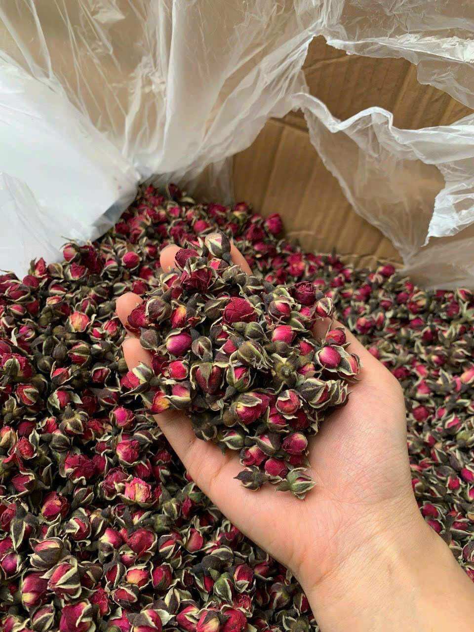 Trà nụ hoa hồng tây tạng