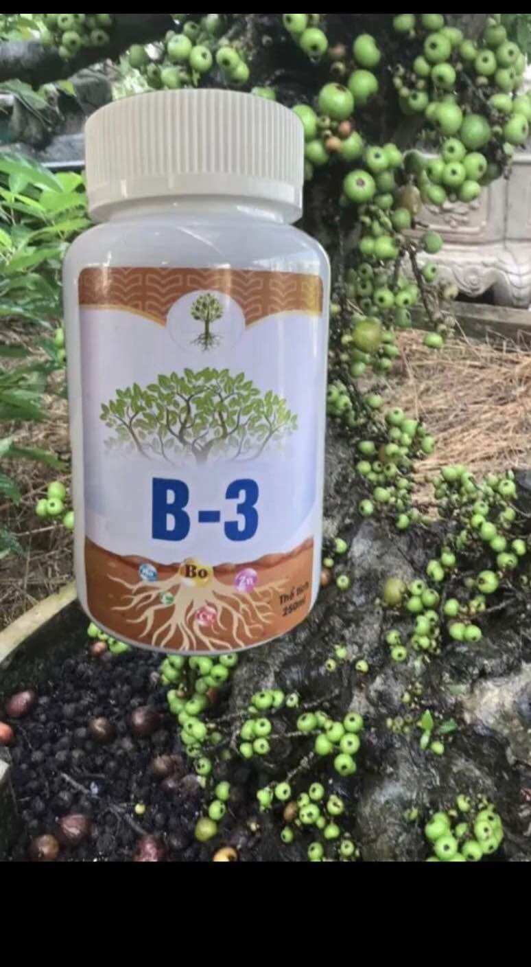 H1+B3 combo kích sung ra hoa và kích quả