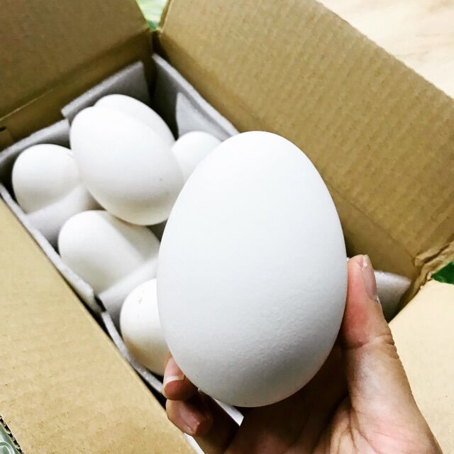 Trứng ngỗng vườn 1 trứng