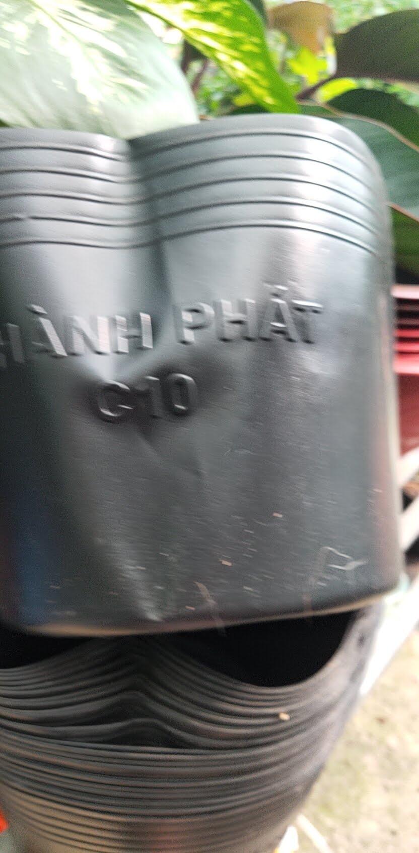 Chậu nhựa trồng cây c9 đen hoặc đỏ dày tốt size 20 cái trồng cây ,trồng hoa ,trồng rau ,trồng cây Kiểng