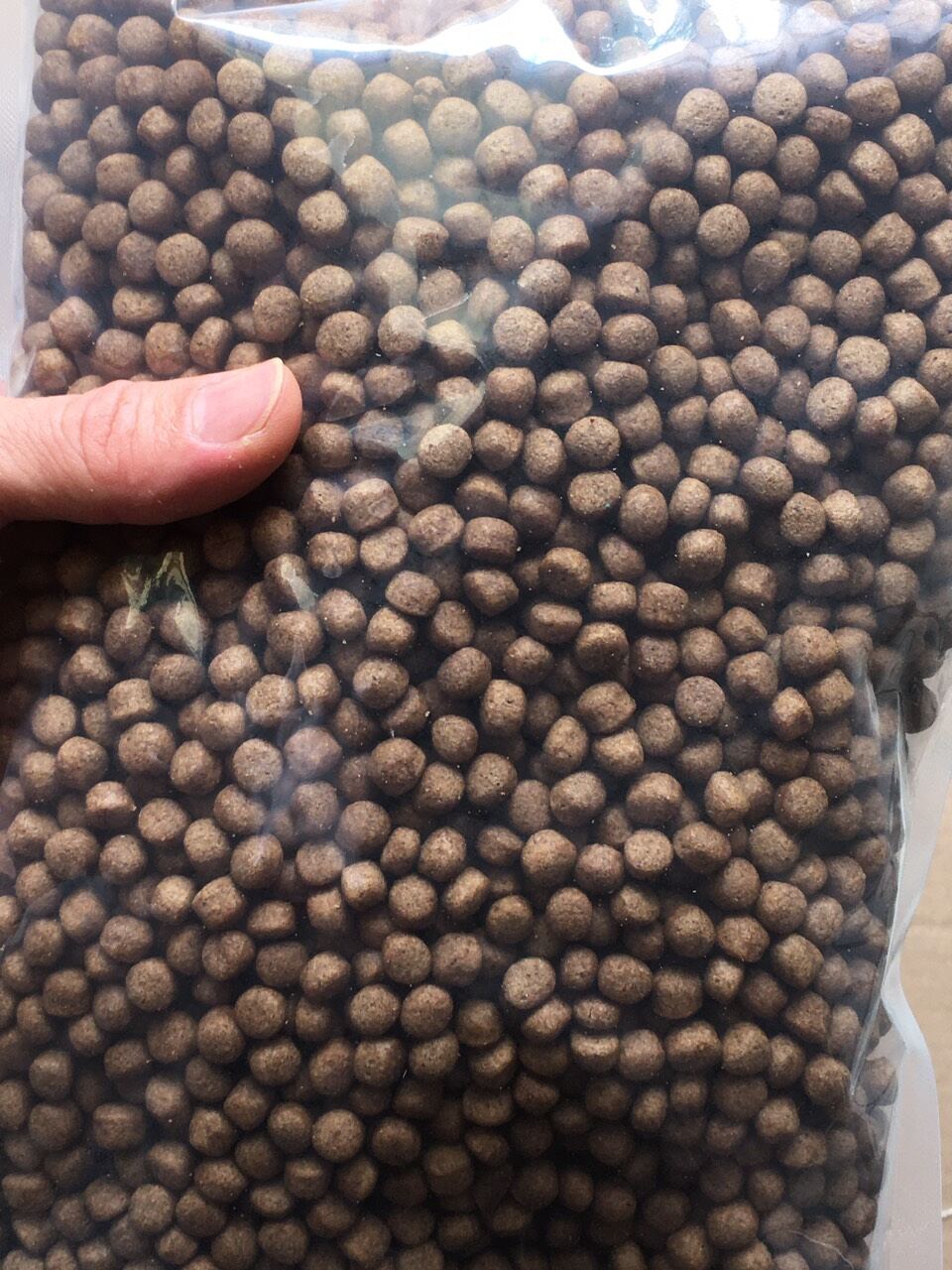 1kg Thức ăn Cá Koi kingfeed 8mm, cho cá size 30cm - đại