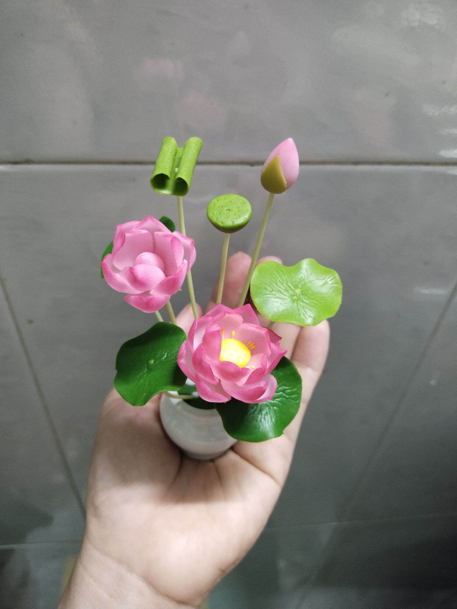 Chậu hoa sen mini cao 12 đến 13 cm