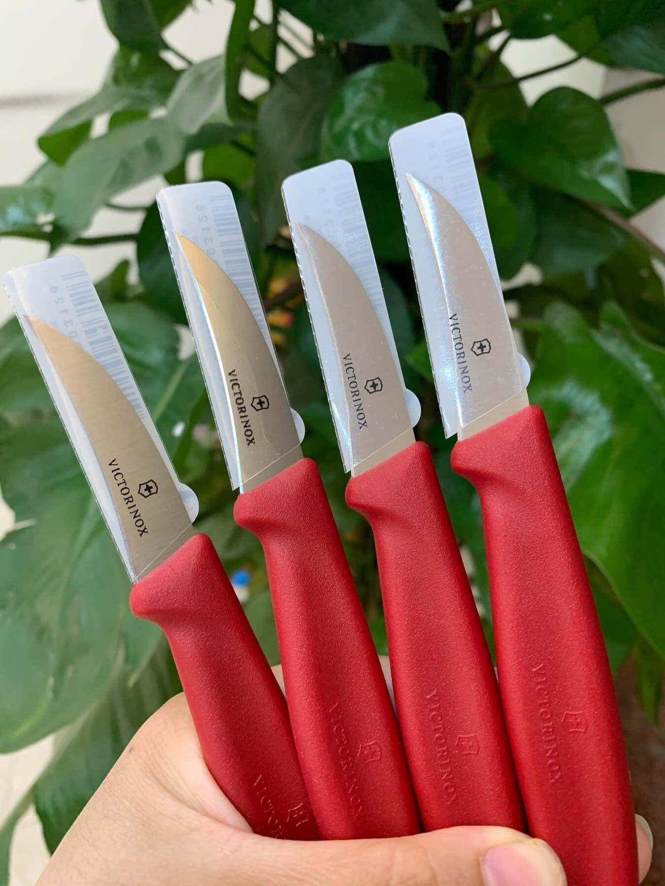 (CHÍNH HÃNG) DAO VICTORINOX RĂNG CƯA 11CM -ĐẦU TRÒN