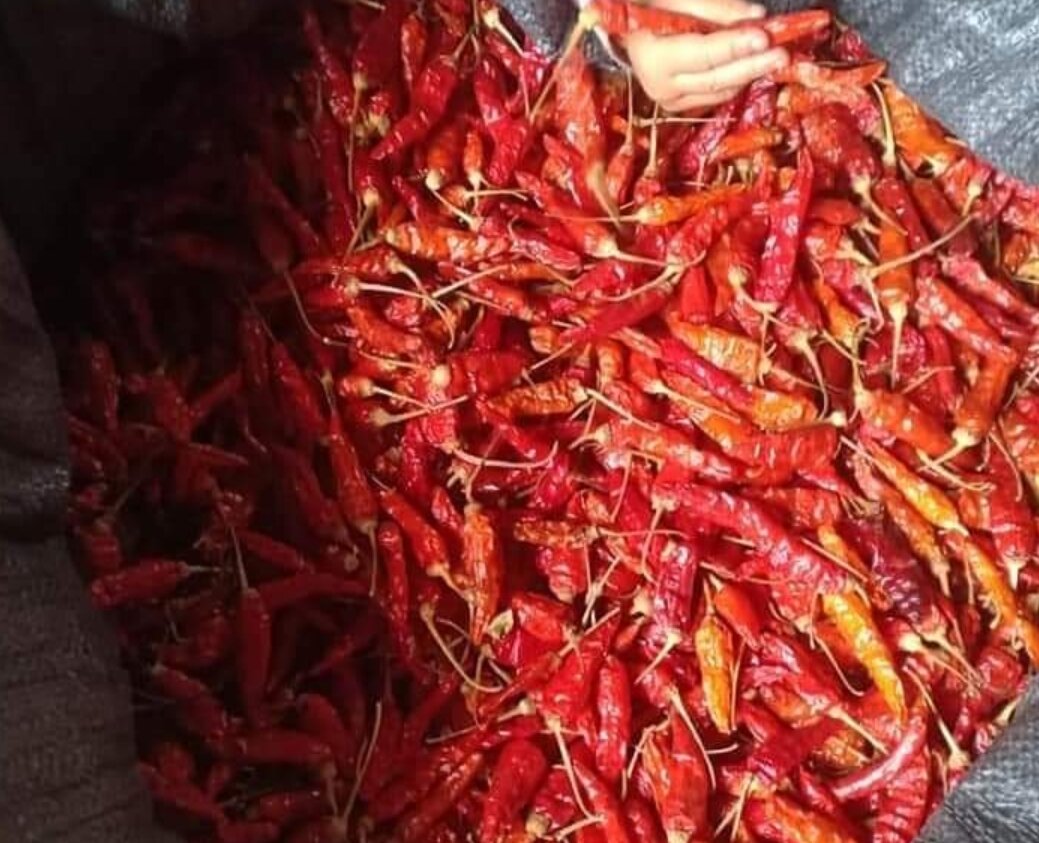 200g ớt Lào phơi khô