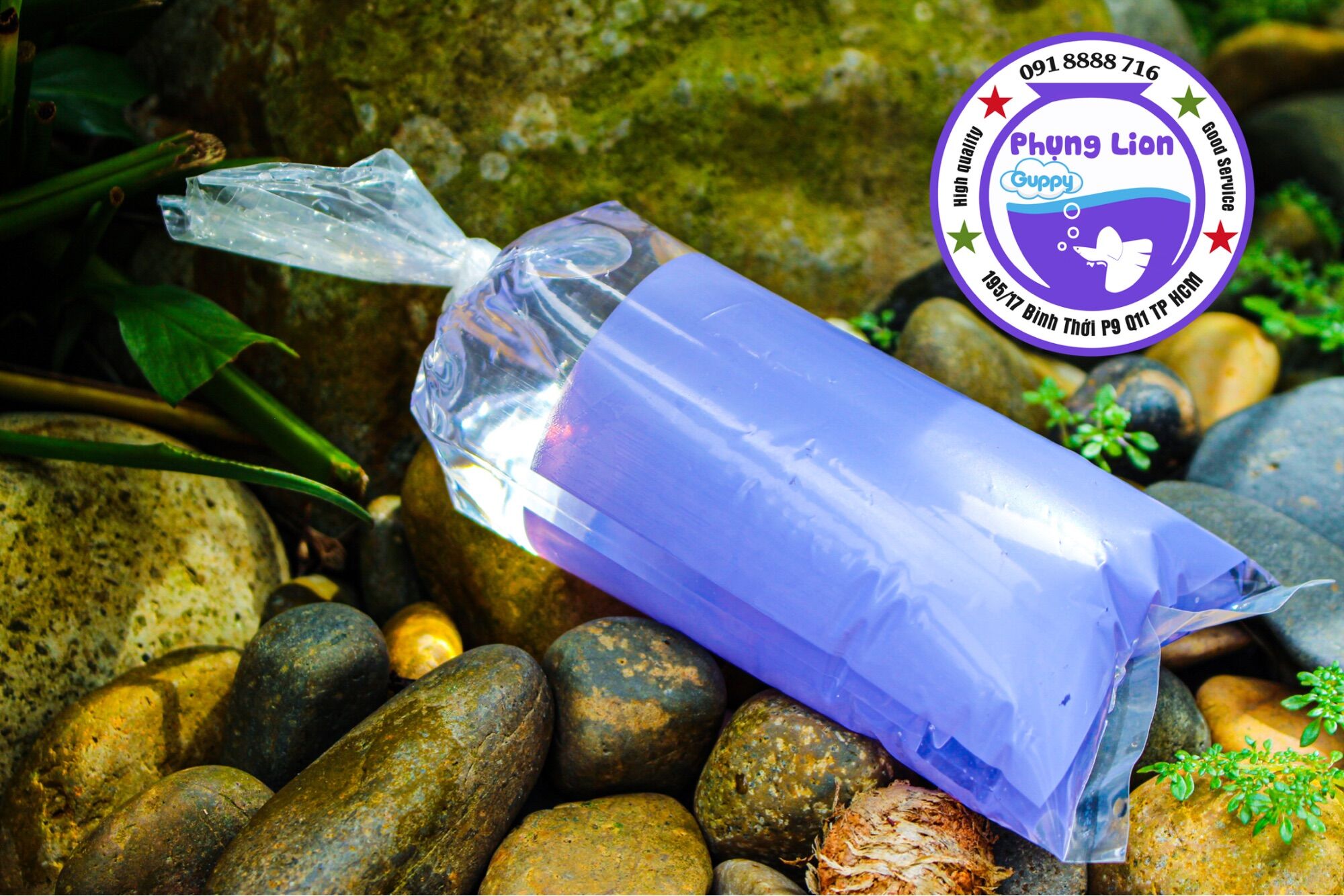 Túi Đóng Cá Chuyên Dụng Cho Betta , Guppy ( 9x31 )