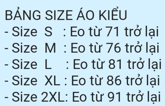 Áo kiểu công sở có bigsize