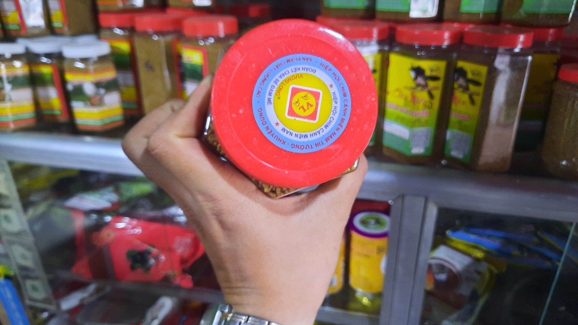 cám vương long chào mào số 2