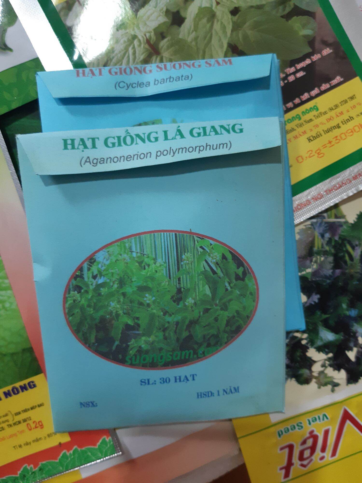 Gói 30 hạt giống cây lá giang