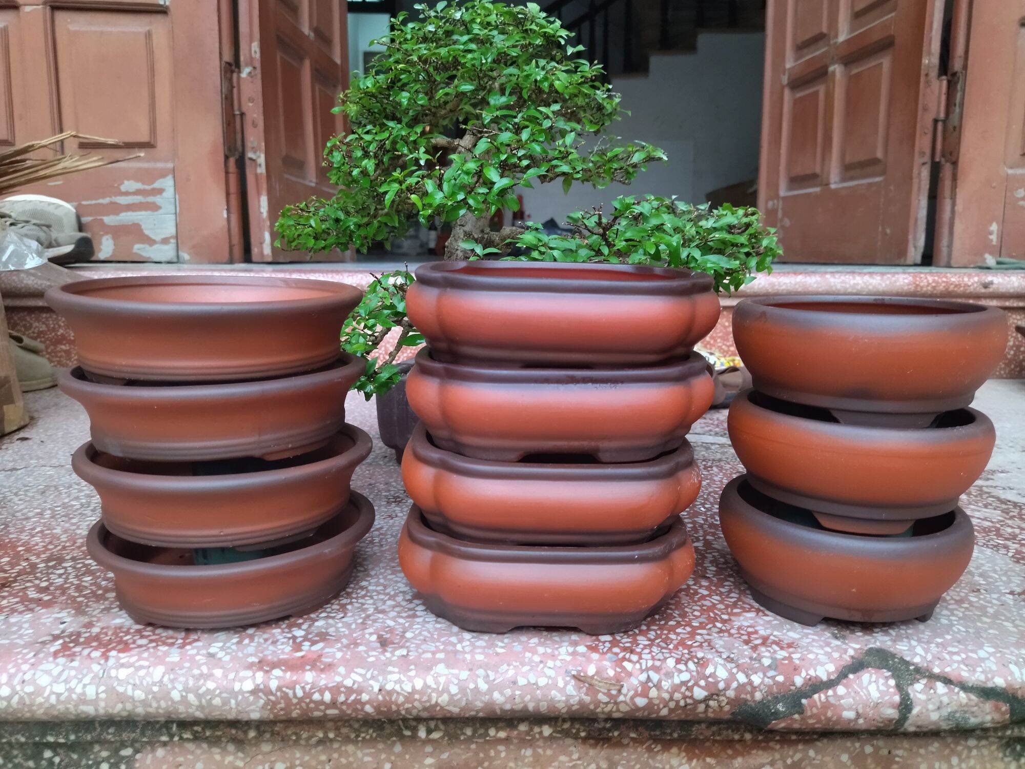 10 chậu gốm màu đỏ nhật
