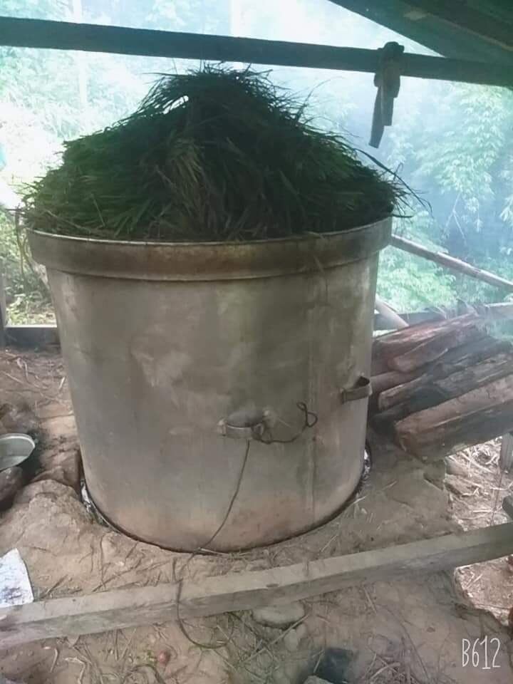 Tinh Dầu Sả mường tè lai châu