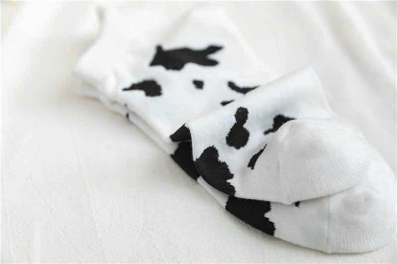 Sét 5 đôi tất bò sữa trắng xịn sò trẻ trung