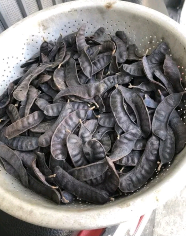 TRÁI BỒ KẾT KHÔ 100 GR