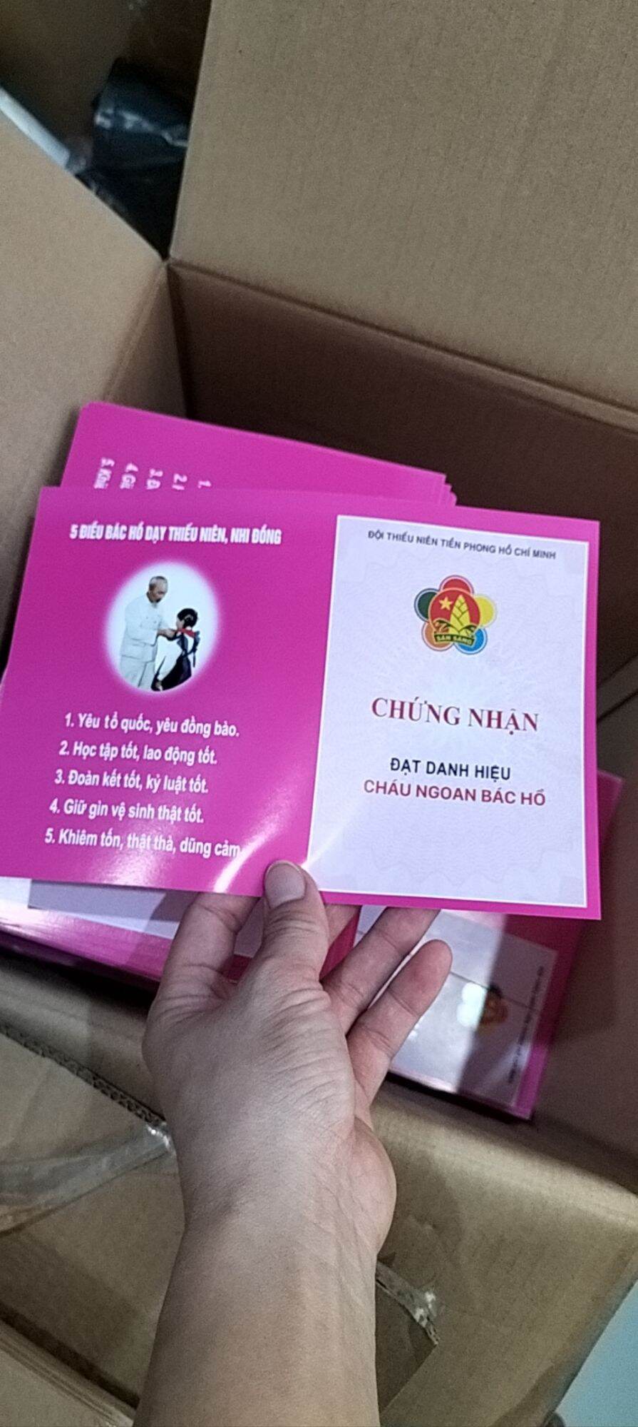 Chứng nhận cháu ngoan bác hồ (100 tờ)