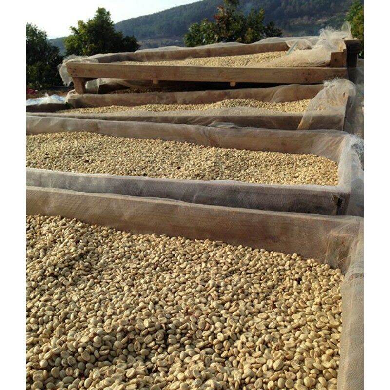 Set 7kg cà phê nhân arabica cầu đất