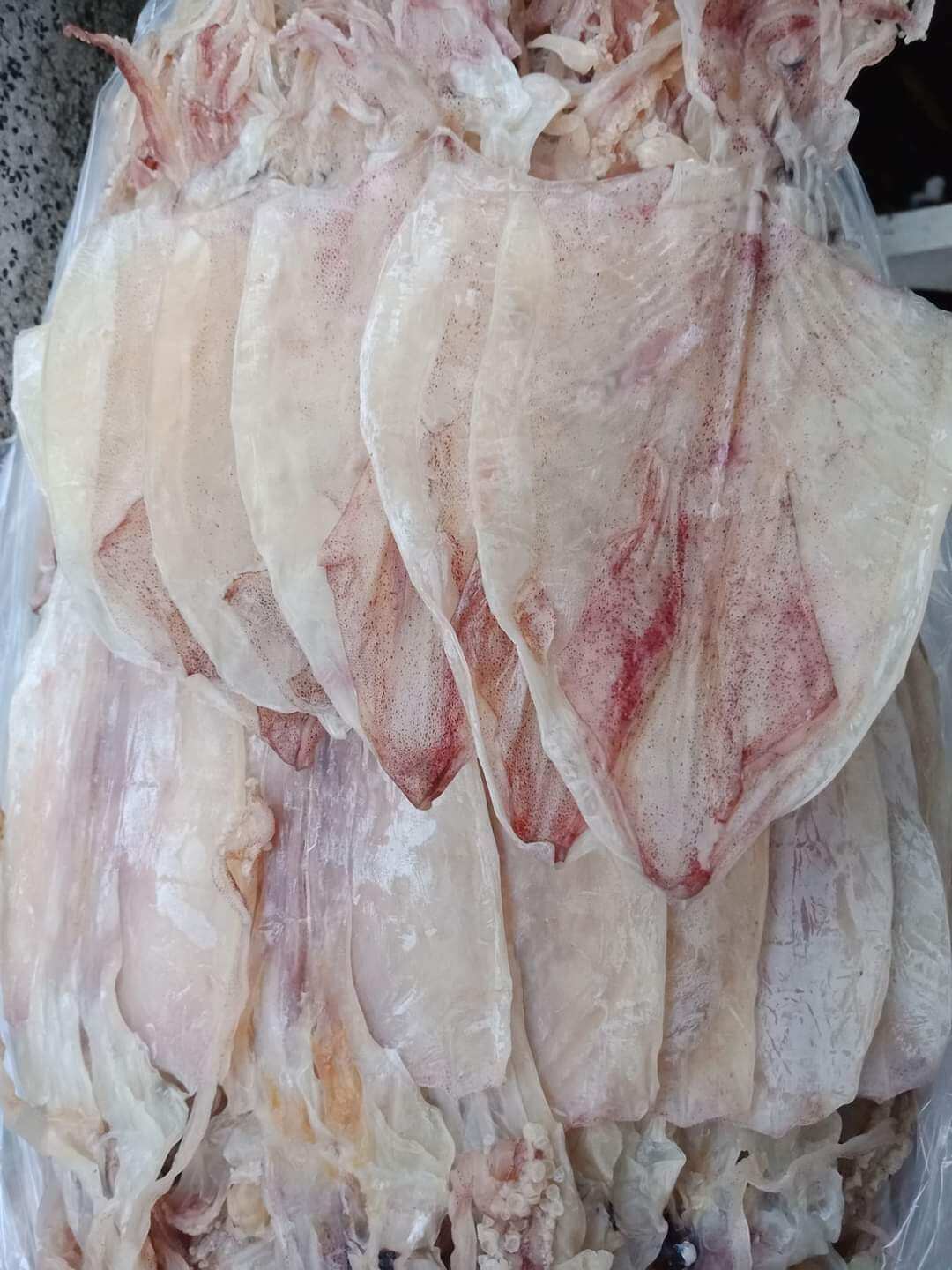 Mực 45 - 50 con 1kg trắng đẹp