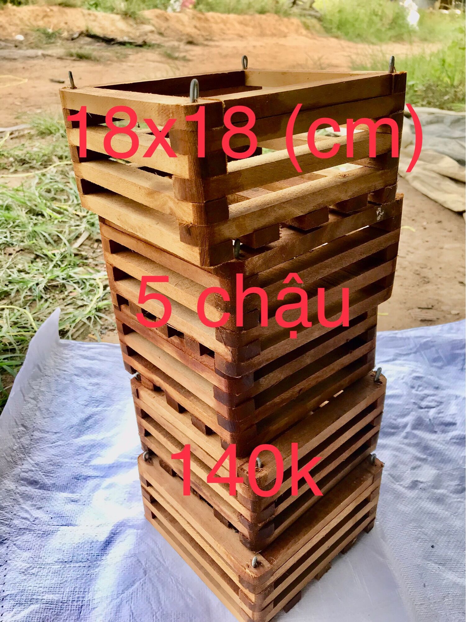 Chậu gỗ vuông trồng Lan 18x18