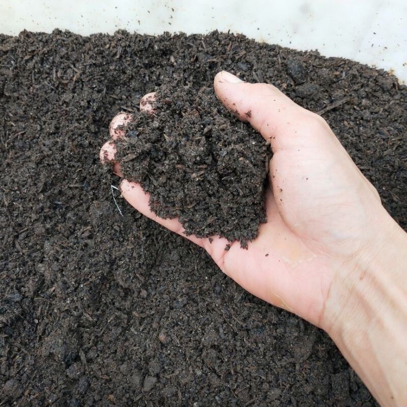 1kg Phân bò hoai mục