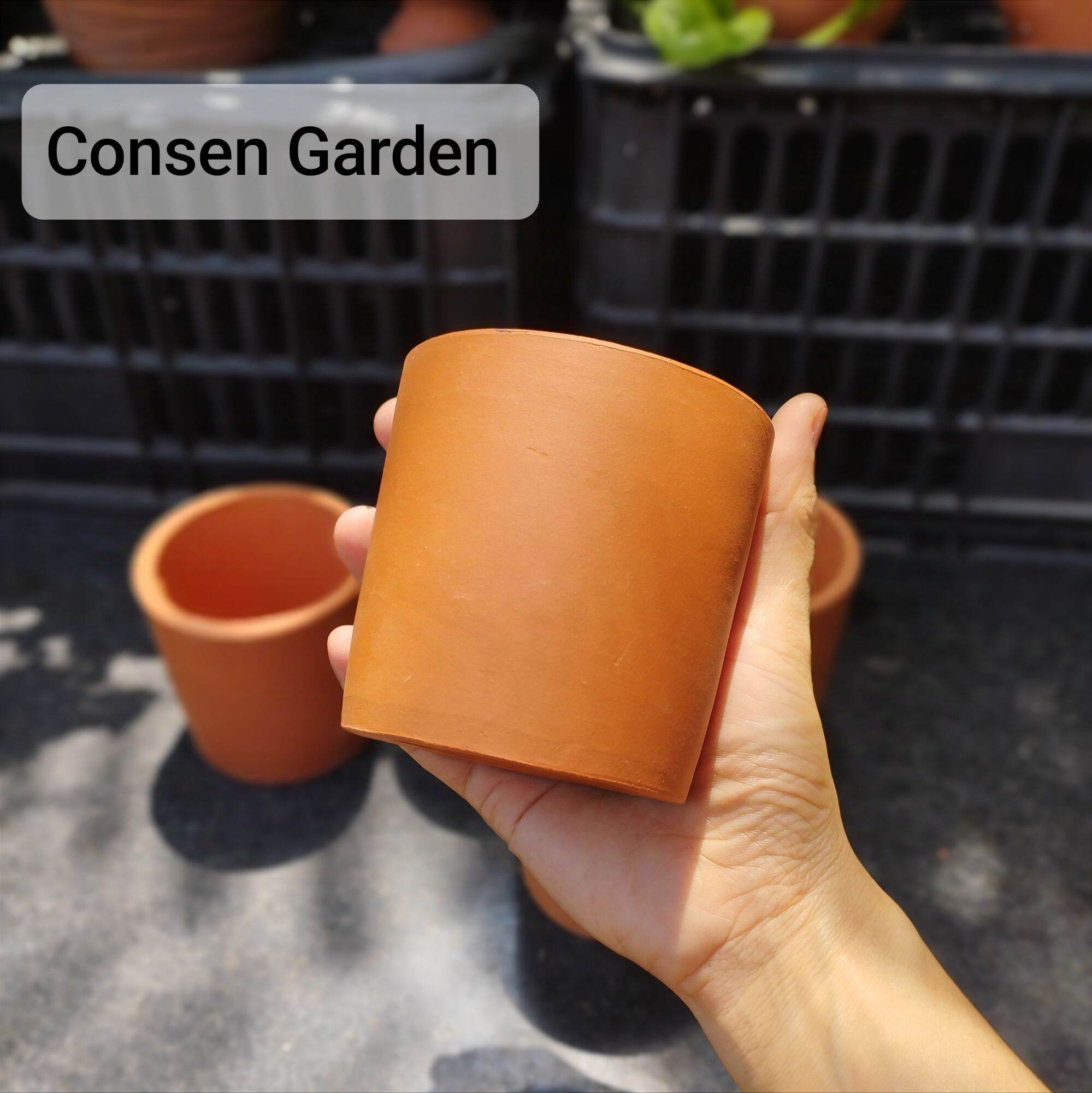 [Bao Bể Vỡ] Chậu Đất Nung Trồng Sen Đá Trụ 8x8Cm