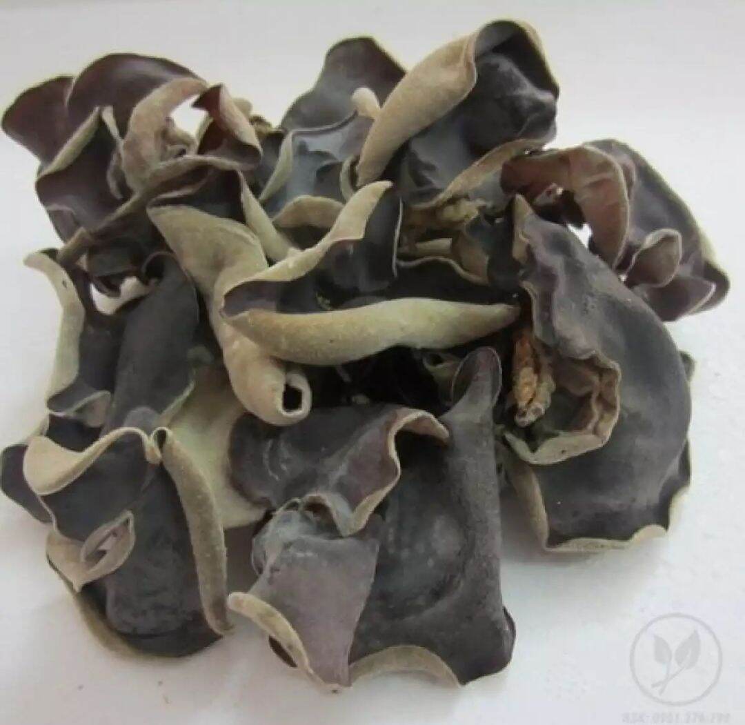 Nấm mèo mộc nhĩ khô ngon -100gram( nhiều lắm luôn ạ)