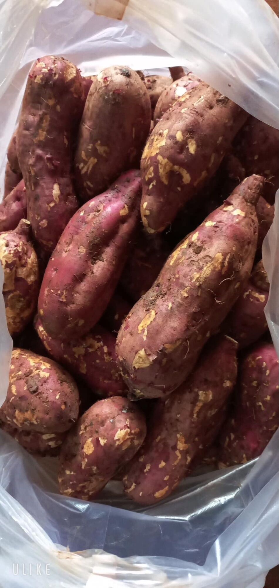 3 kg KHOAI LANG Nhật