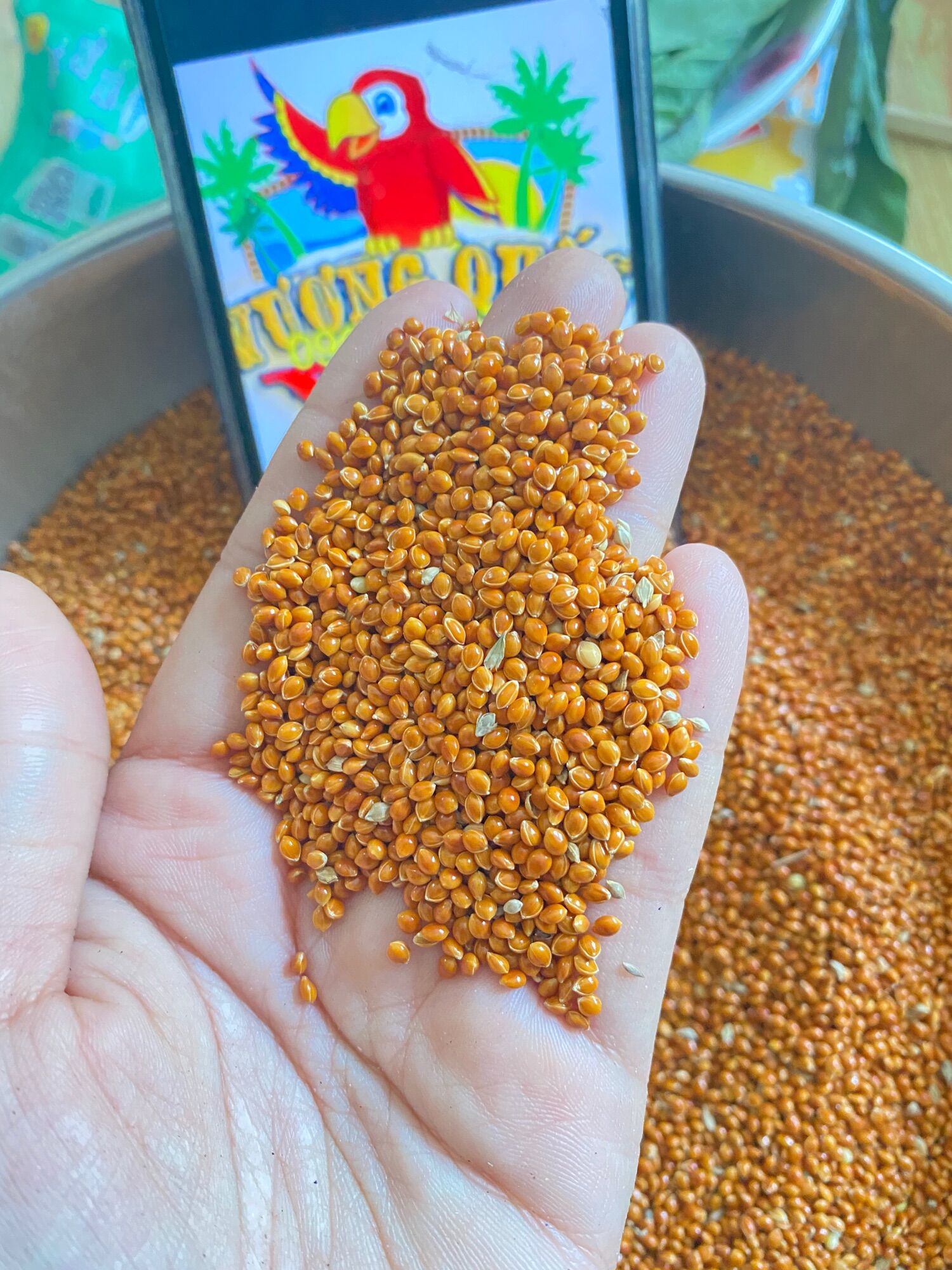 Hạt kê bóng đỏ to gói 1kg