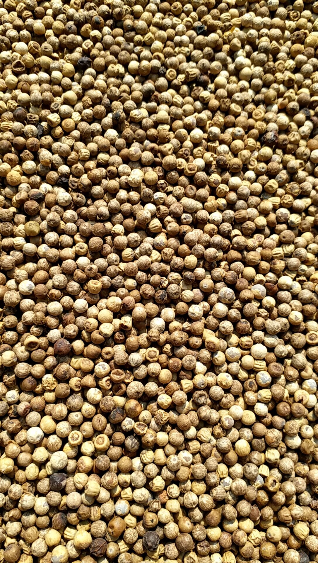 Tiêu sọ nhà làm (500gr)