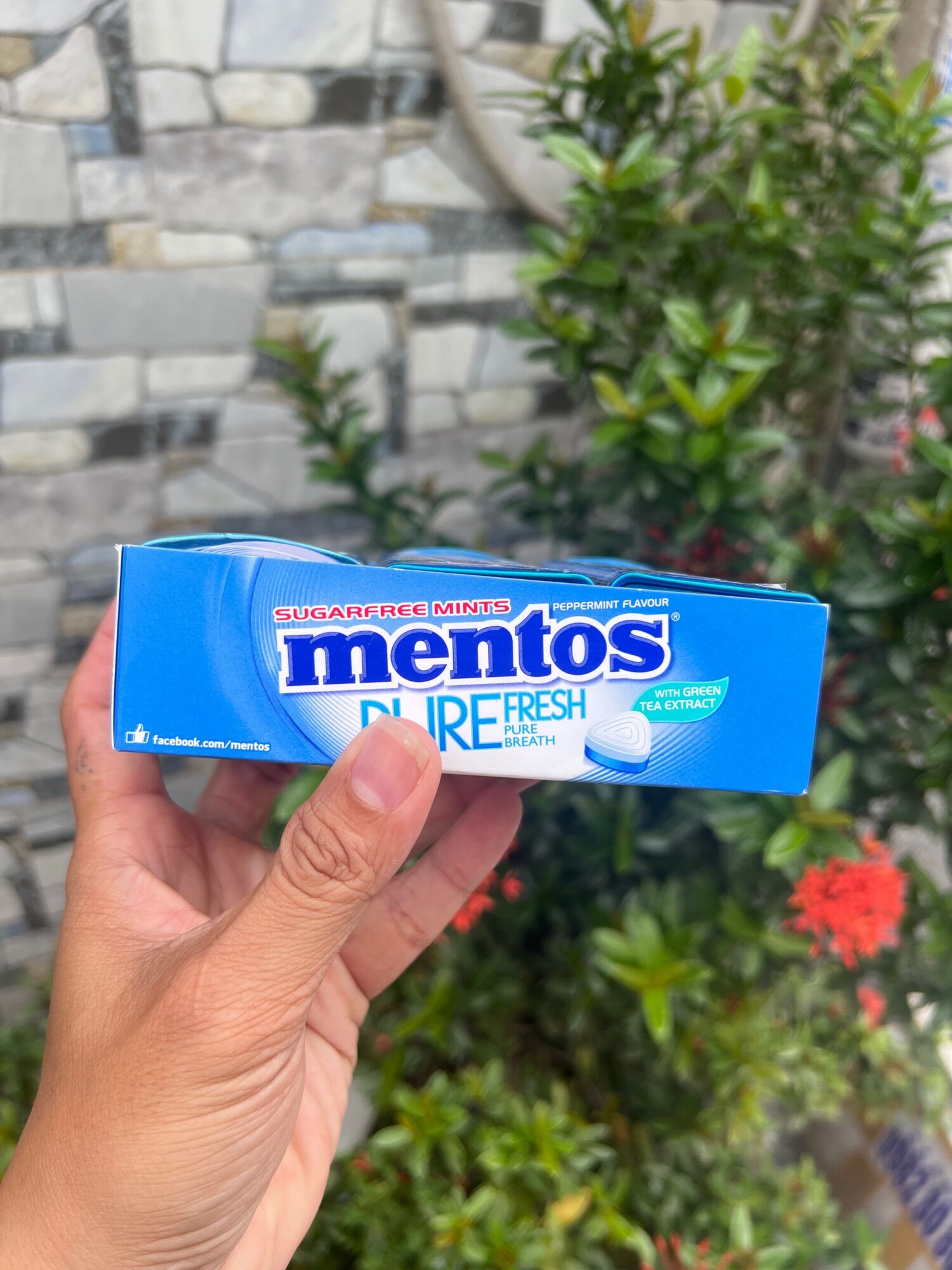 Kẹo ngậm mentos 6 lọ×35g