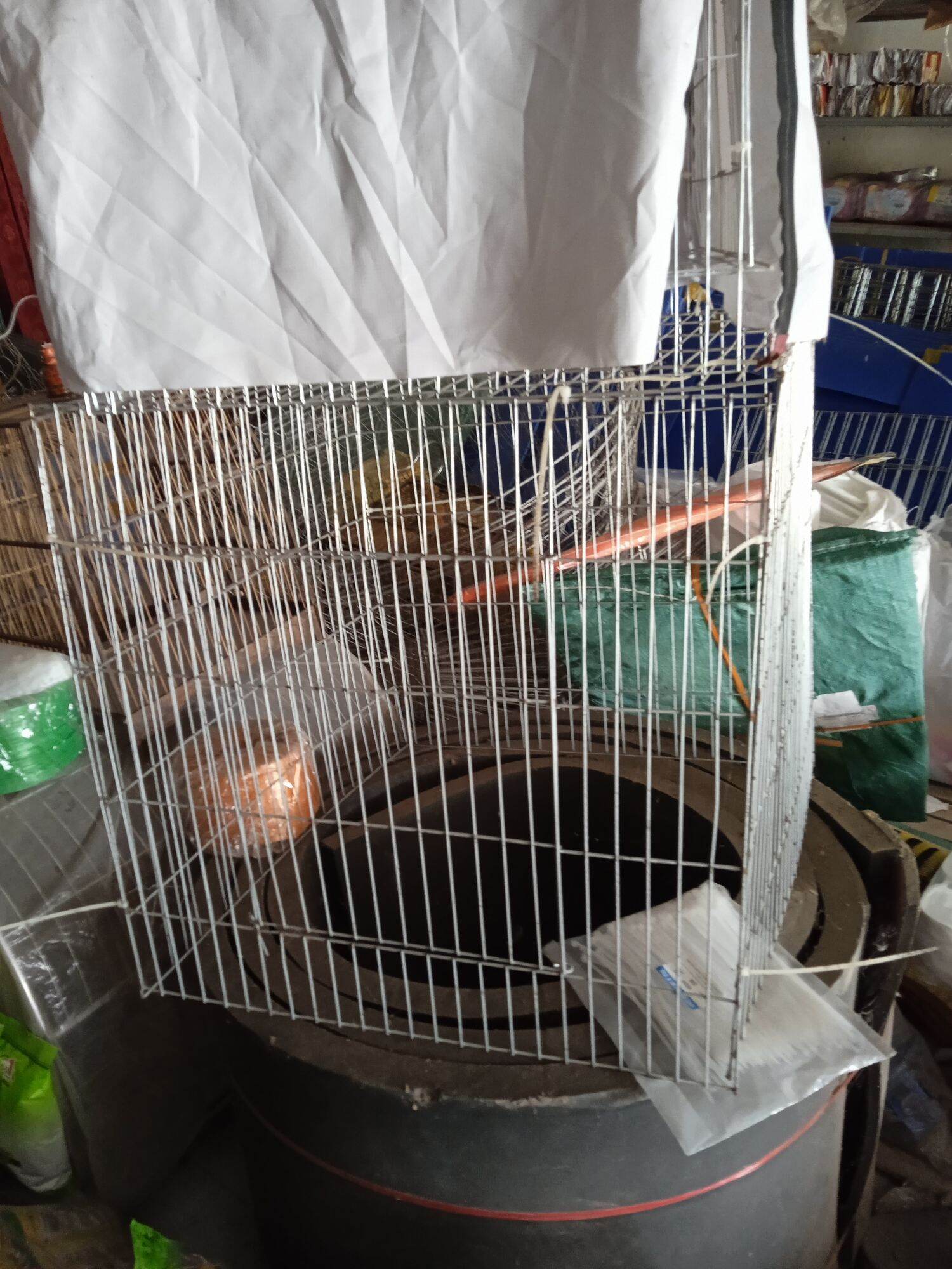 Lồng ko khay 80v gà chọi gà nòi gà tre gà đá gà đòn